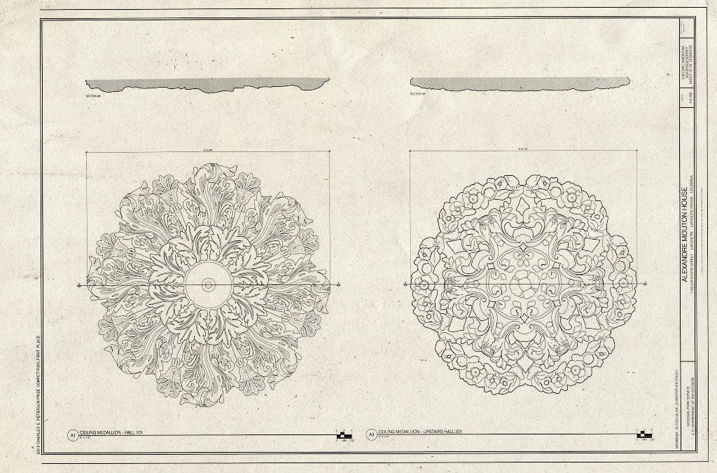 Blueprint Ceiling Medallions - Alexandre Mouton House, 1122 Lafayette Street, Lafayette, Lafayette Parish, LA