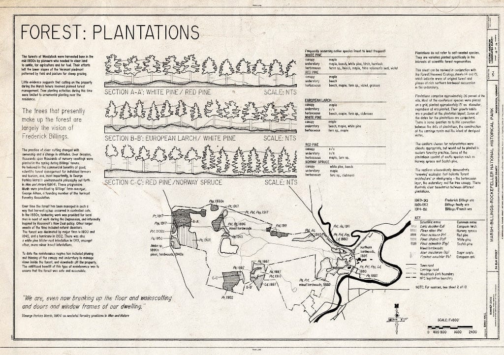 Blueprint Forest: Plantations - Marsh-Billings-Rockefeller National Historical Park, 54 Elm Street, Woodstock, Windsor County, VT