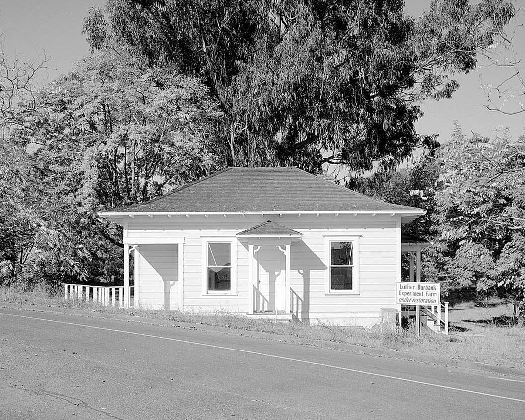 Historic Photo : Gold Ridge Farm, 7777 Bodega Avenue, Sebastopol, Sonoma County, CA 5 Photograph