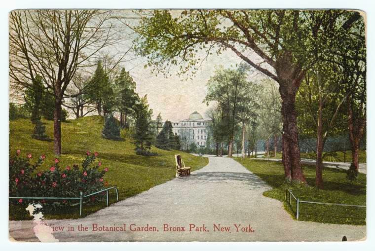 Art Print : View in The Botanical Garden, Bronx Park, New York, 1912 - Vintage Wall Art