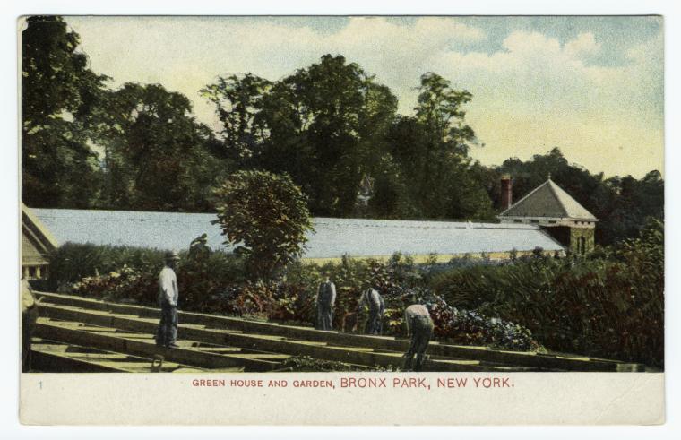 Art Print : Green House and Garden, Bronx Park, New York, 1909 - Vintage Wall Art