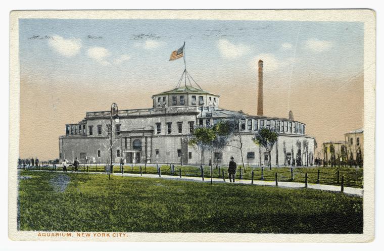 Art Print : Aquarium. New York City, 1915 - Vintage Wall Art