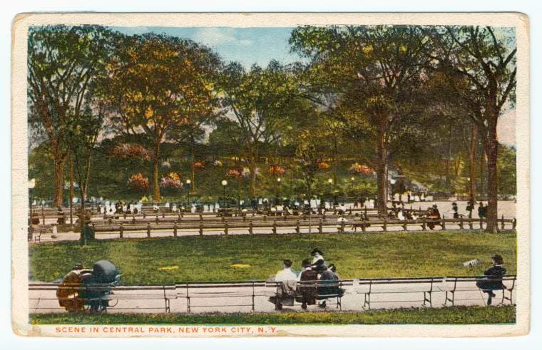 Art Print : Scene in Central Park, New York City, N. Y, 1917 - Vintage Wall Art