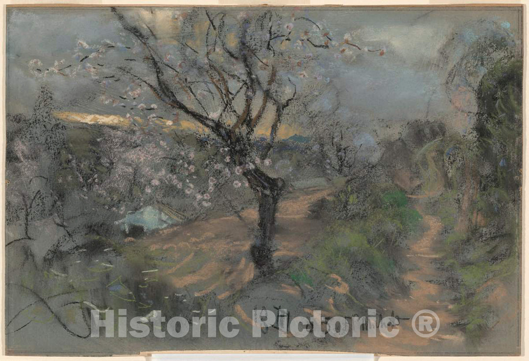 Art Print : Francesco Paolo Michetti, A Hillside Path with Blooming Cherry Trees Under an Overcast Sky, 1905 - Vintage Wall Art