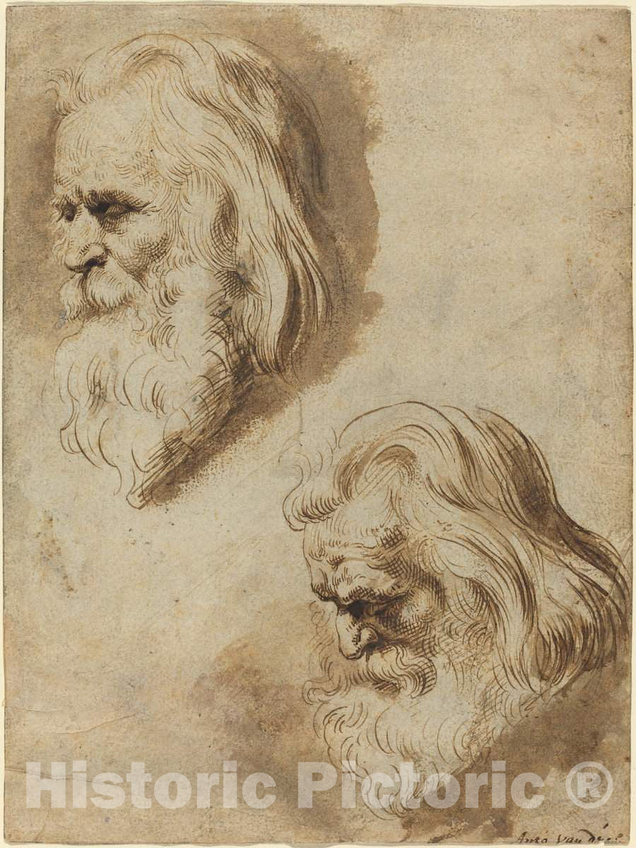 Art Print : Pontius After Rubens, Two Studies of an Elderly Man's Head - Vintage Wall Art