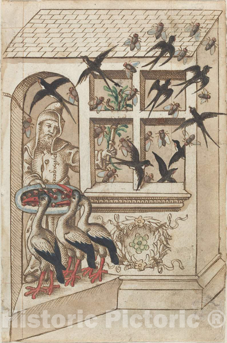 Art Print : Do Not Have Swallows Under The Same Roof [FOL. 40 Recto], c.1513 - Vintage Wall Art