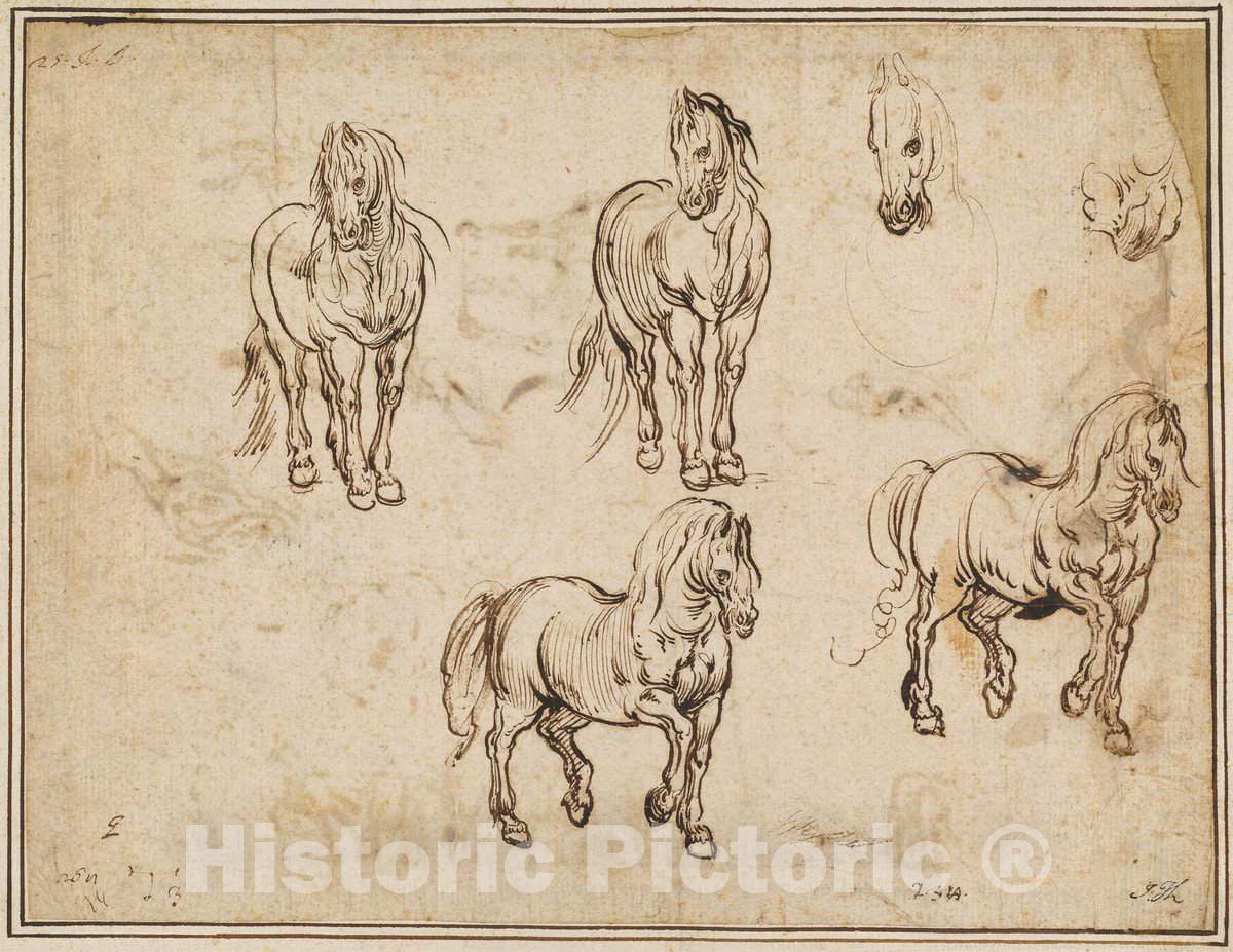 Art Print : Callot After Tempesta, Studies of Horses [Recto], c. 1612 - Vintage Wall Art