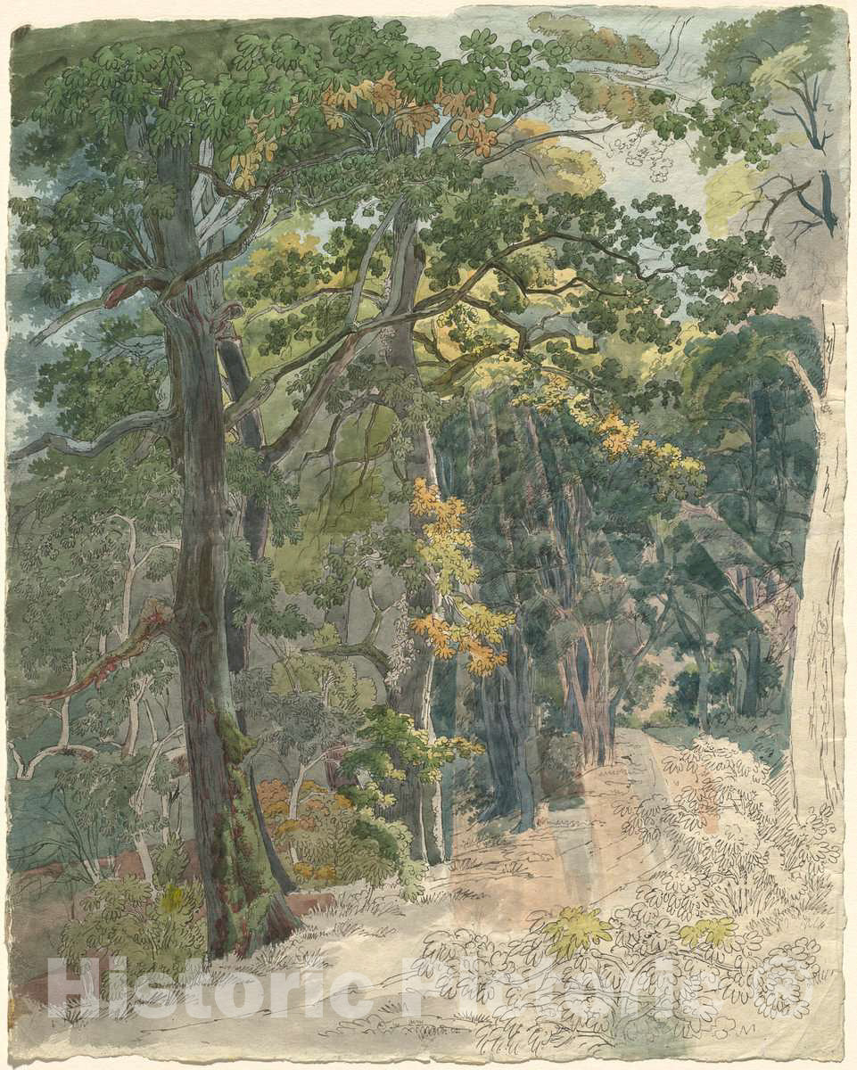 Art Print : Friedrich SalathÃ©, Rays of Sunlight Striking a Woodland Path, c. 1815 - Vintage Wall Art