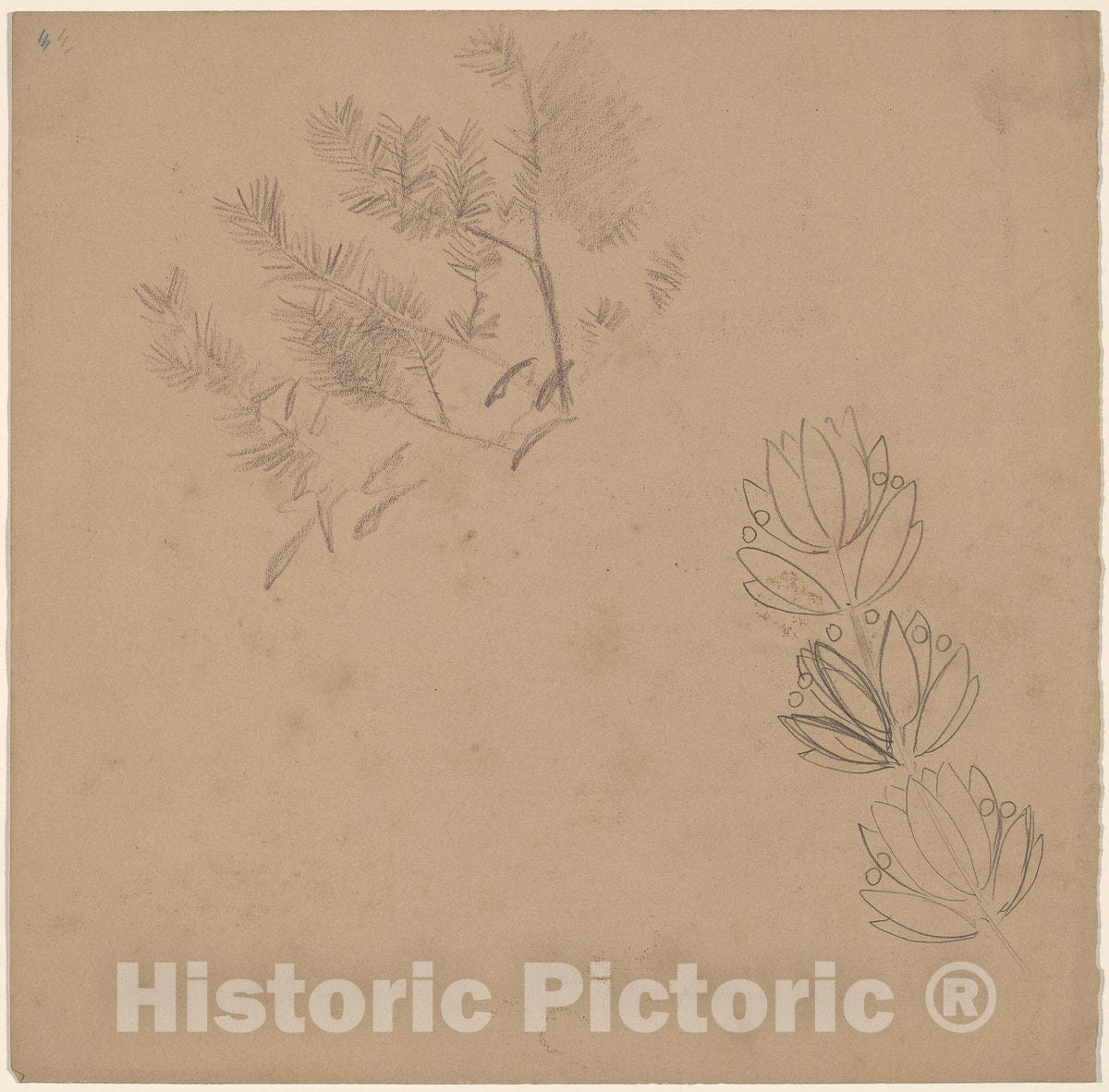 Art Print : Charles Sprague Pearce, Study for a Border Design with a Sketch of a Tree, c.1894 - Vintage Wall Art