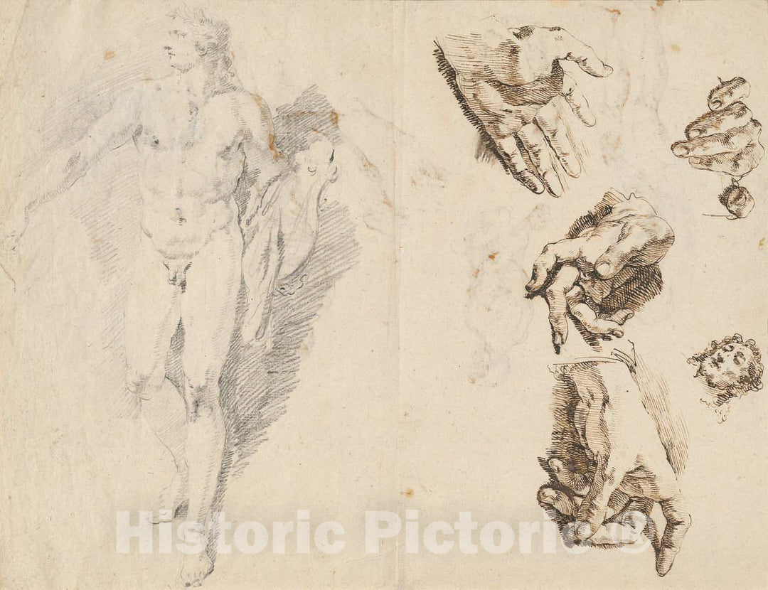 Art Print : Francesco Fontebasso, Apollo and Studies of The Artist's Own Hand [Recto], c. 1740 - Vintage Wall Art