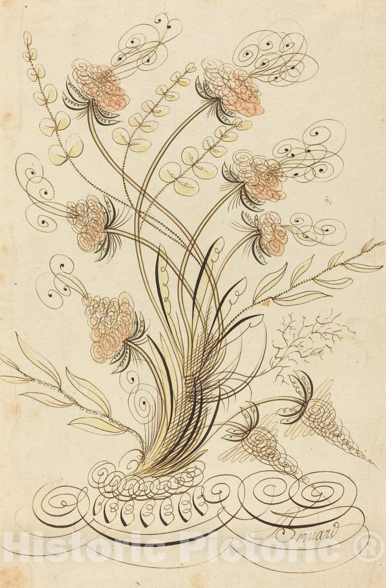 Art Print : Joseph Bernard, Calligraphic Flowers - Vintage Wall Art