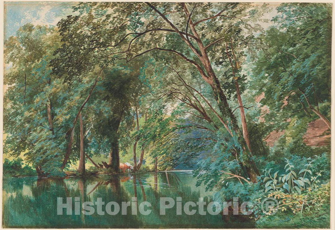 Art Print : James Jackson Curnock, Trees Over The River Frome at Stapleton, 1862 - Vintage Wall Art