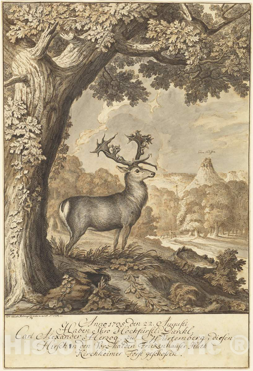 Art Print : Johann Elias Ridinger, A Stag Beneath a Mighty Oak, 1735 - Vintage Wall Art