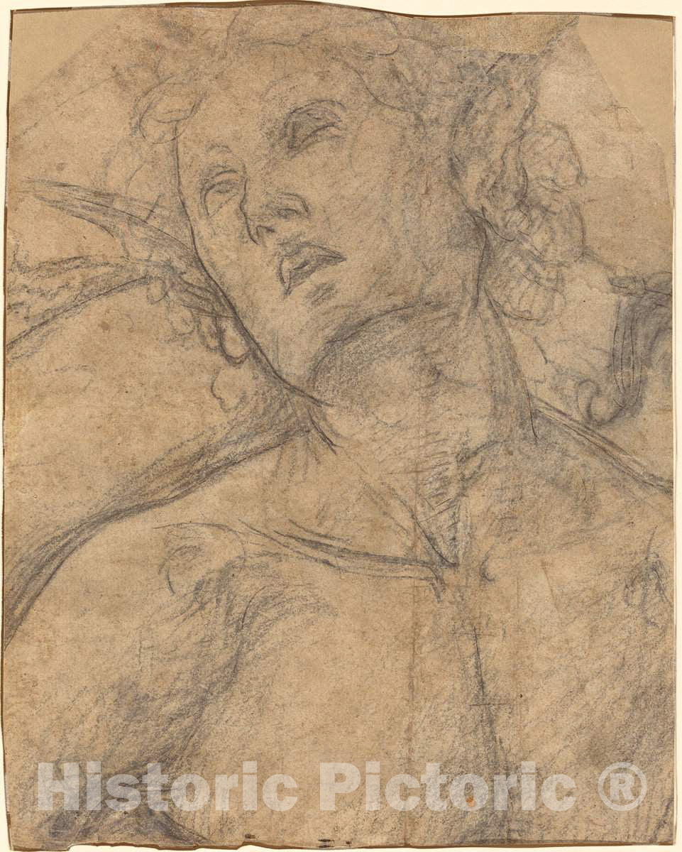 Art Print : Luca Signorelli, Bust of a Youth Looking Upward [Recto], c. 1500 - Vintage Wall Art