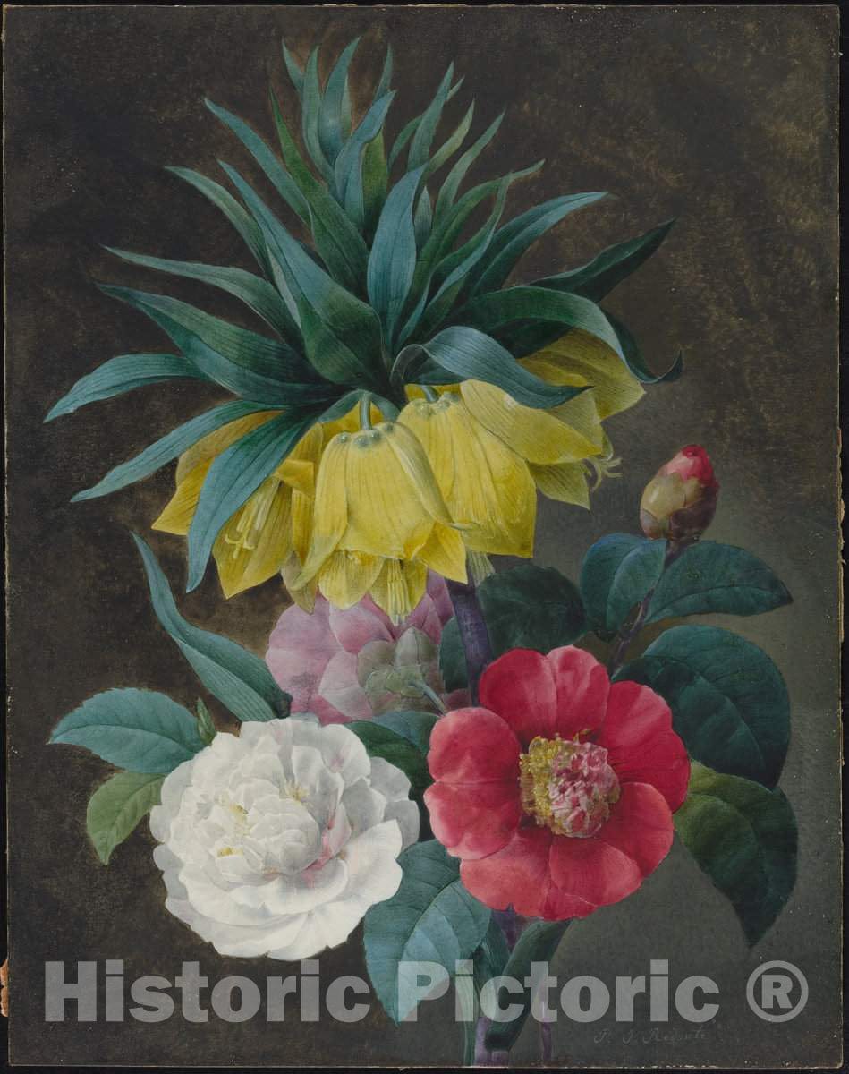 Art Print : Pierre Joseph RedoutÃ©, Four Peonies and a Crown Imperial - Vintage Wall Art