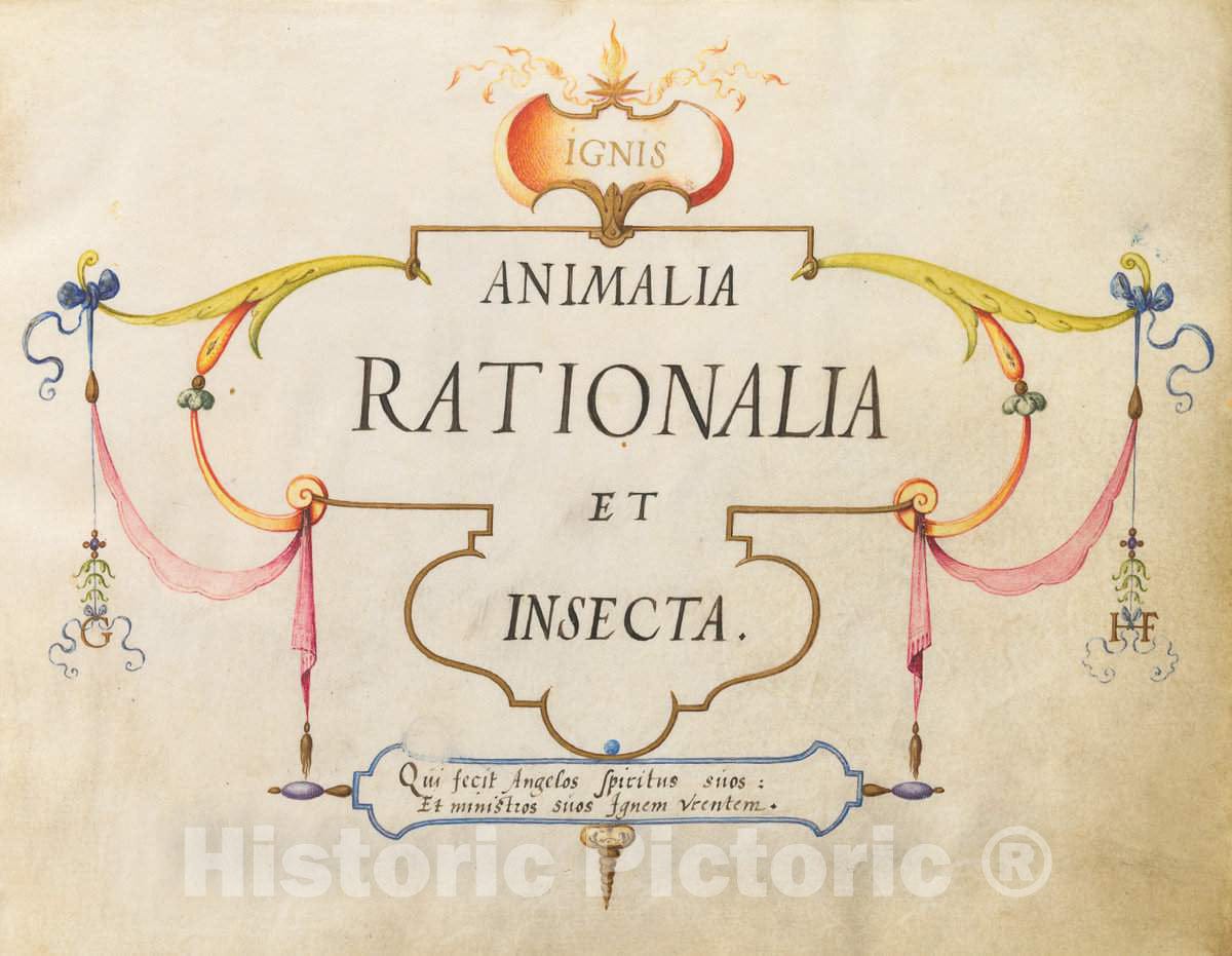 Art Print : Joris Hoefnagel, Animalia Rationalia et Insecta (Ignis): Title Page, c.1578 - Vintage Wall Art