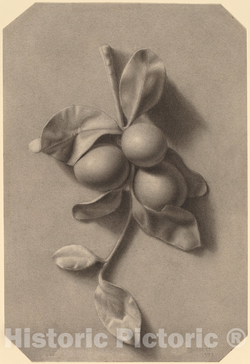 Art Print : William Michael Harnett, A Sprig of Plums, 1873 - Vintage Wall Art