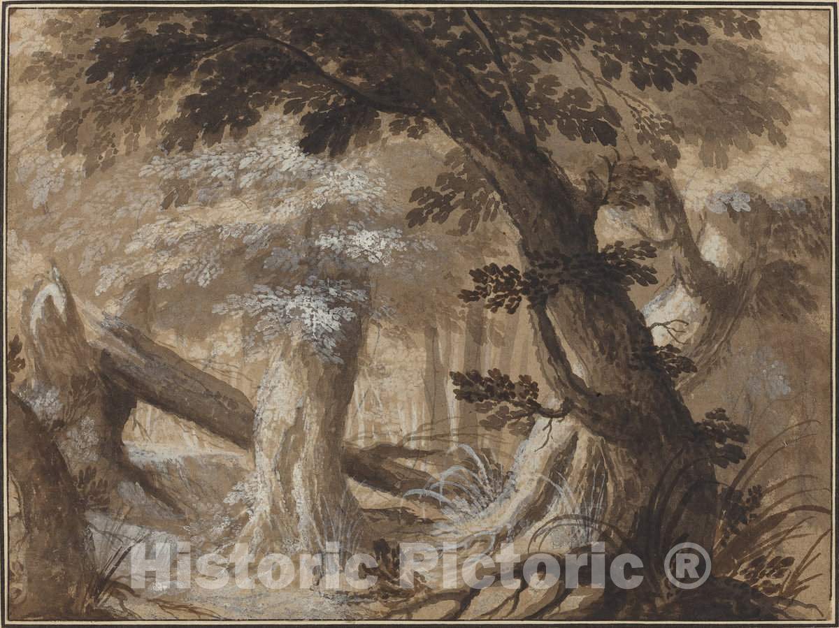 Art Print : Forest Interior, c. 1610 - Vintage Wall Art