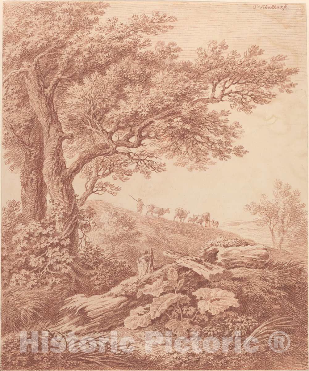 Art Print : Carl Philipp Schallhas, Ancient Trees in a Pastoral Landscape, c.1793 - Vintage Wall Art