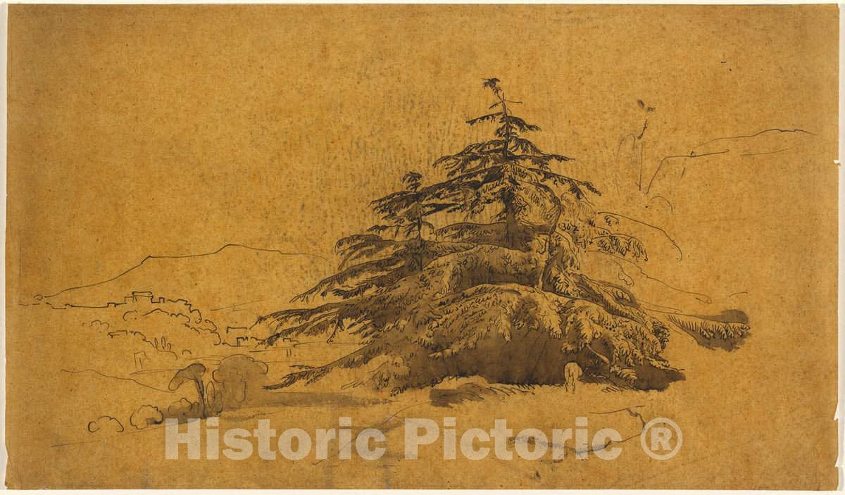 Art Print : John Varley, Study of Trees in a Landscape - Vintage Wall Art