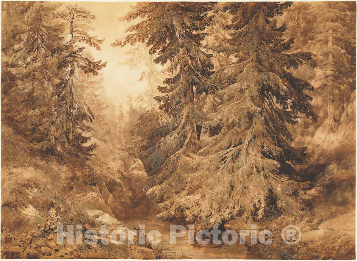 Art Print : Alexandre Calame, an Ancient Pine Forest with a Mountain Stream, 1847 - Vintage Wall Art