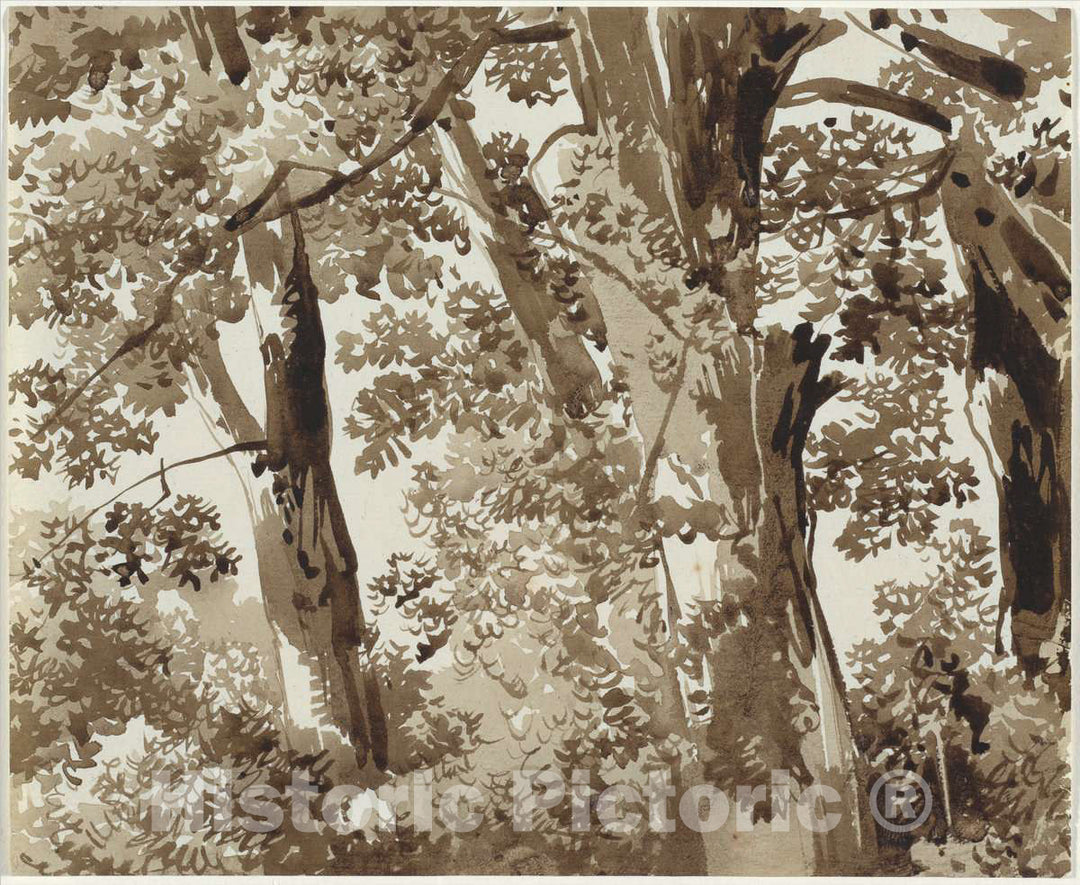 Art Print : Franz Innocenz Josef Kobell, Trees with Dense Undergrowth, c.1810 - Vintage Wall Art