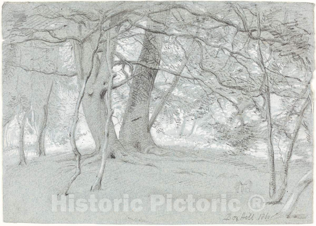 Art Print : Sir William Blake Richmond, Trees at Box Hill, 1860 - Vintage Wall Art