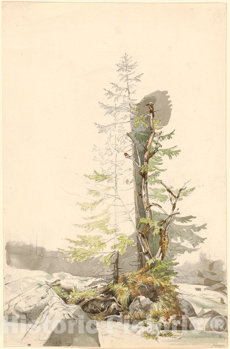 Art Print : Carl Morgenstern, A Clump of Trees by a Rocky Stream in The Ramsau, c.1833 - Vintage Wall Art