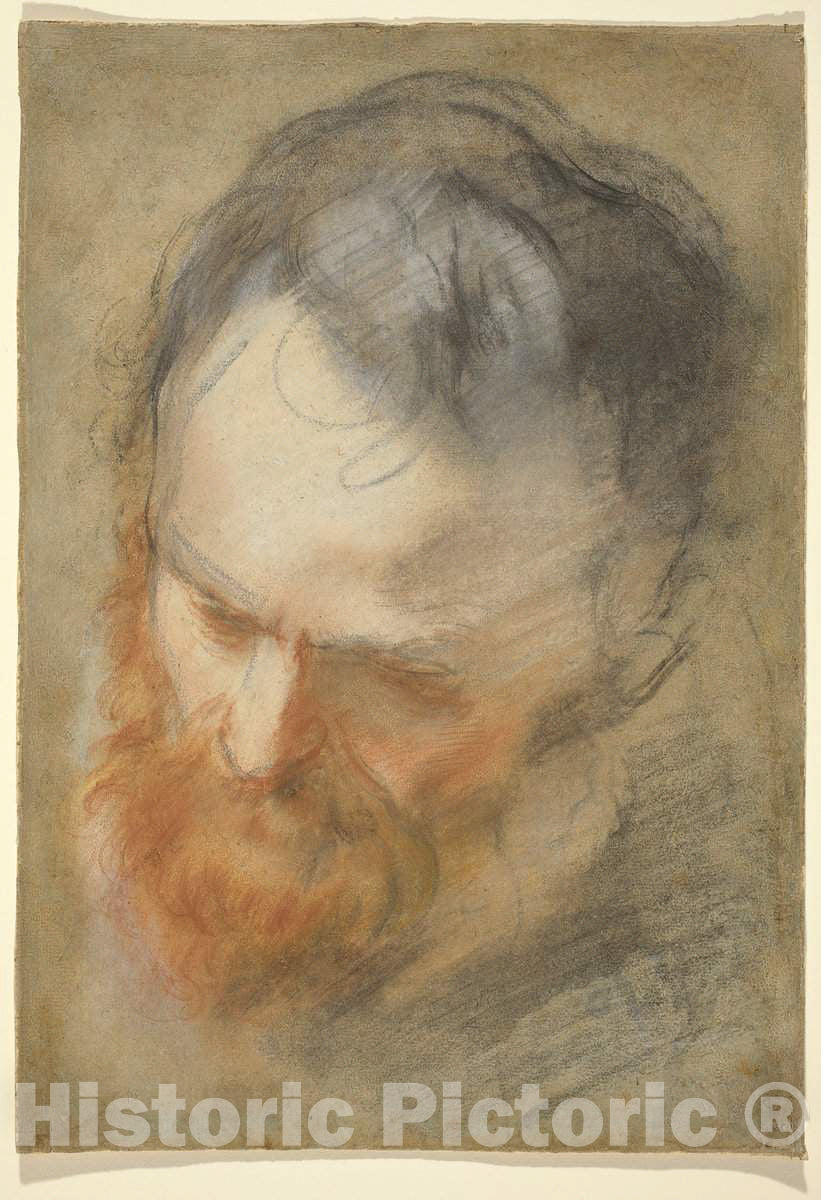 Art Print : Federico Barocci, Head of a Bearded Man, c.1581 - Vintage Wall Art