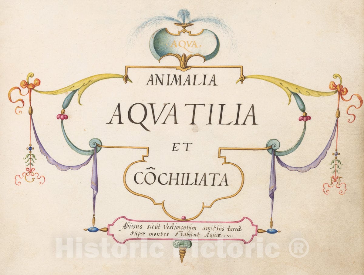 Art Print : Joris Hoefnagel, Animalia Aqvatilia et Cochiliata (Aqva): Title Page, c.1578 - Vintage Wall Art