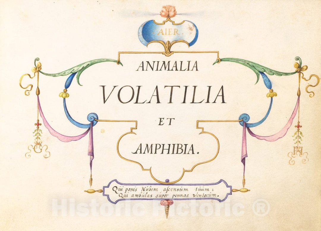 Art Print : Joris Hoefnagel, Animalia Volatilia et Amphibia (Aier): Title Page, c.1578 - Vintage Wall Art