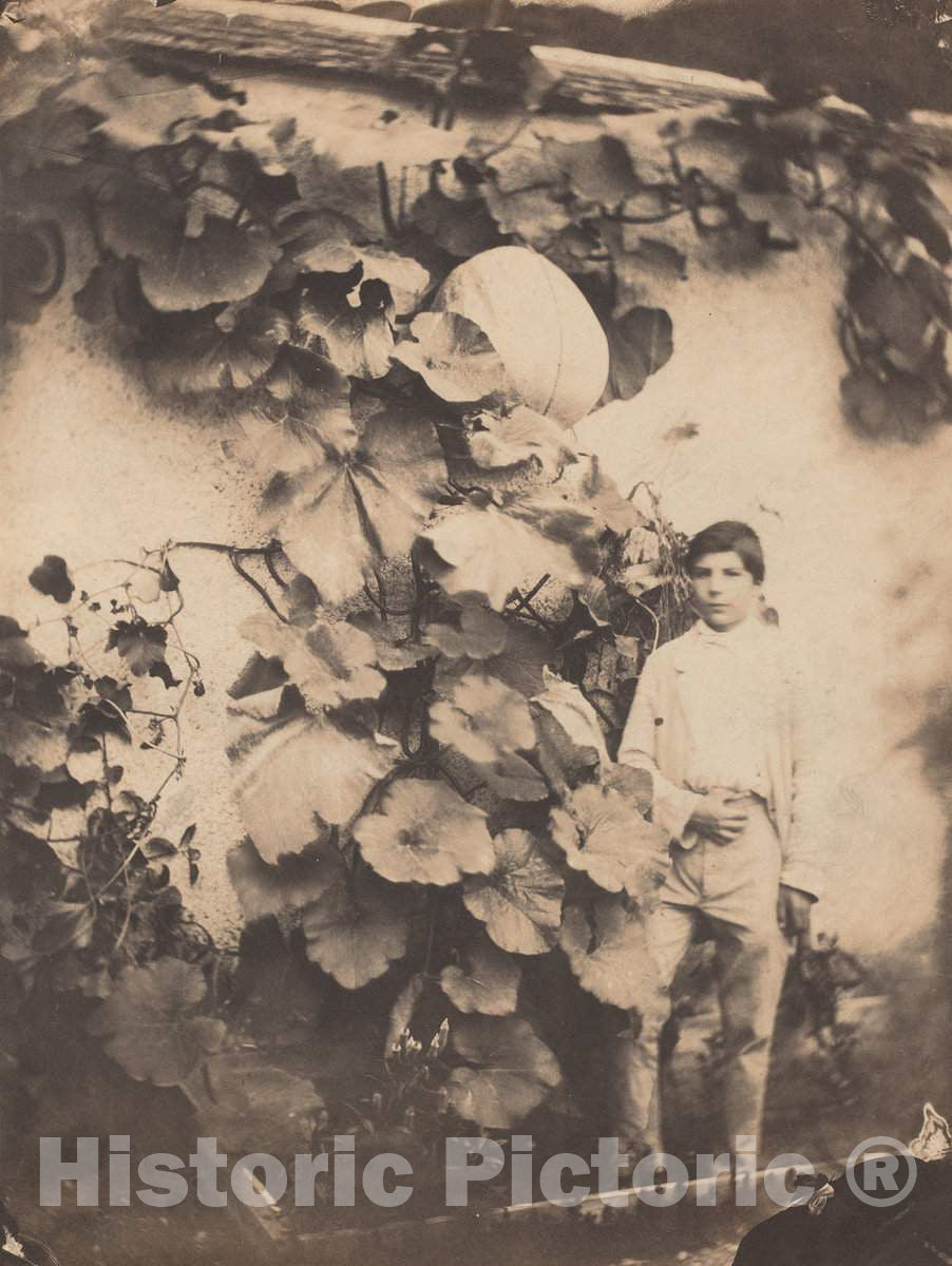 Art Print : Varin FrÃ¨res, Boy with a Pumpkin Vine, 1854 - Vintage Wall Art