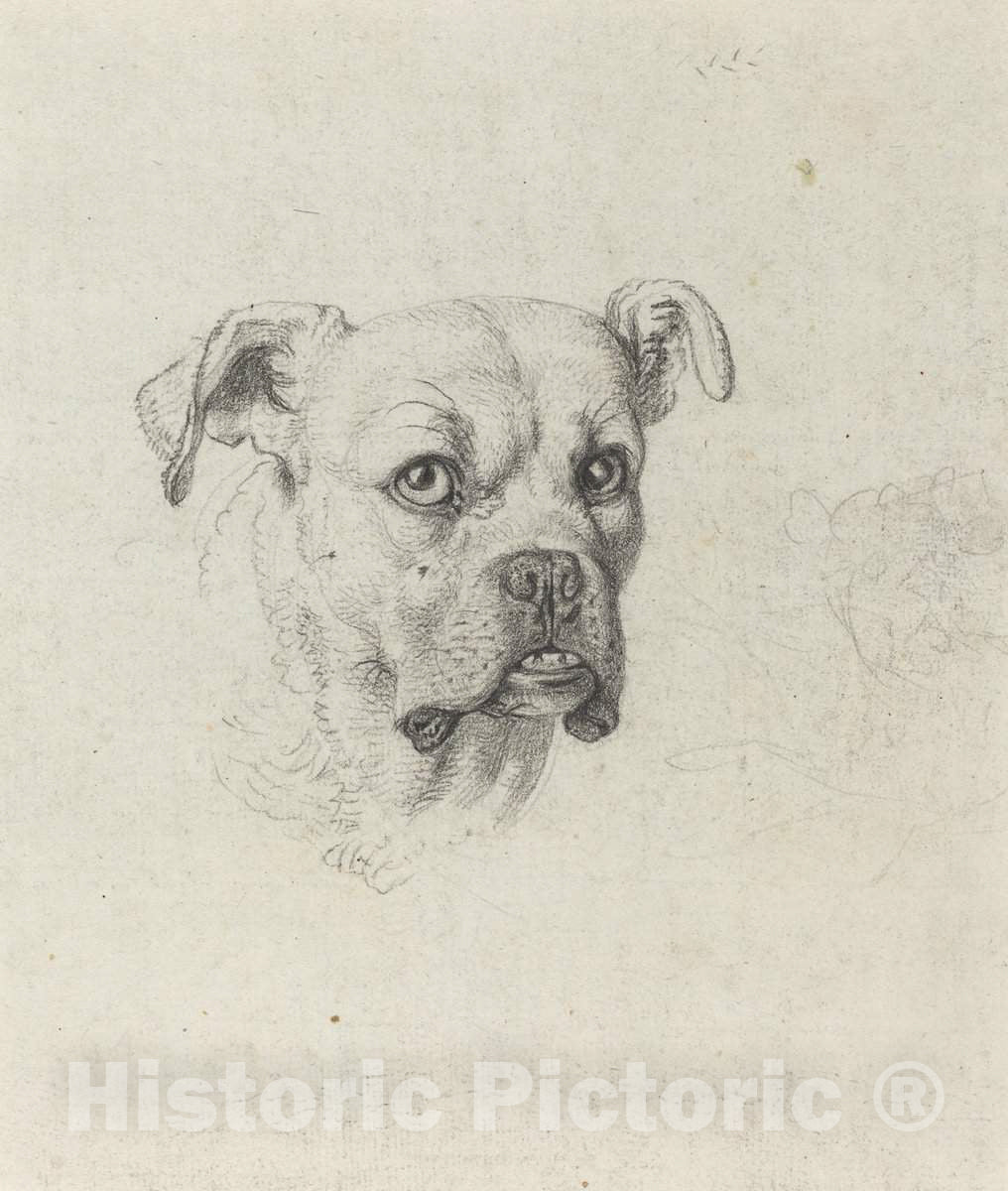 Art Print : Johann Heinrich Wilhelm Tischbein, A Boxer, c. 1795 - Vintage Wall Art