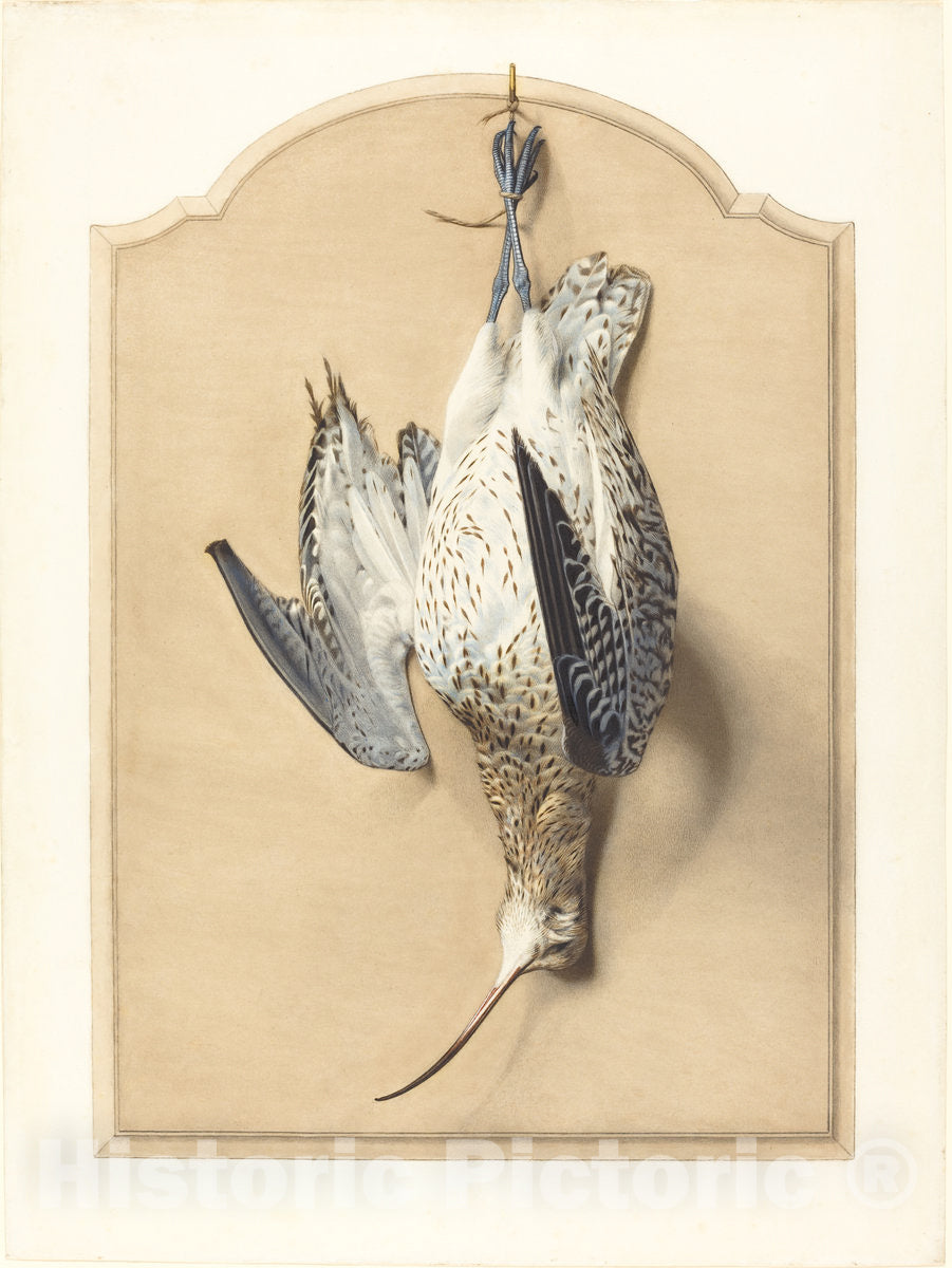 Art Print : Ã‰douard TraviÃ¨s, Trompe L'Oeil: A Curlew Hanging from a Nail, 1850s(?) - Vintage Wall Art