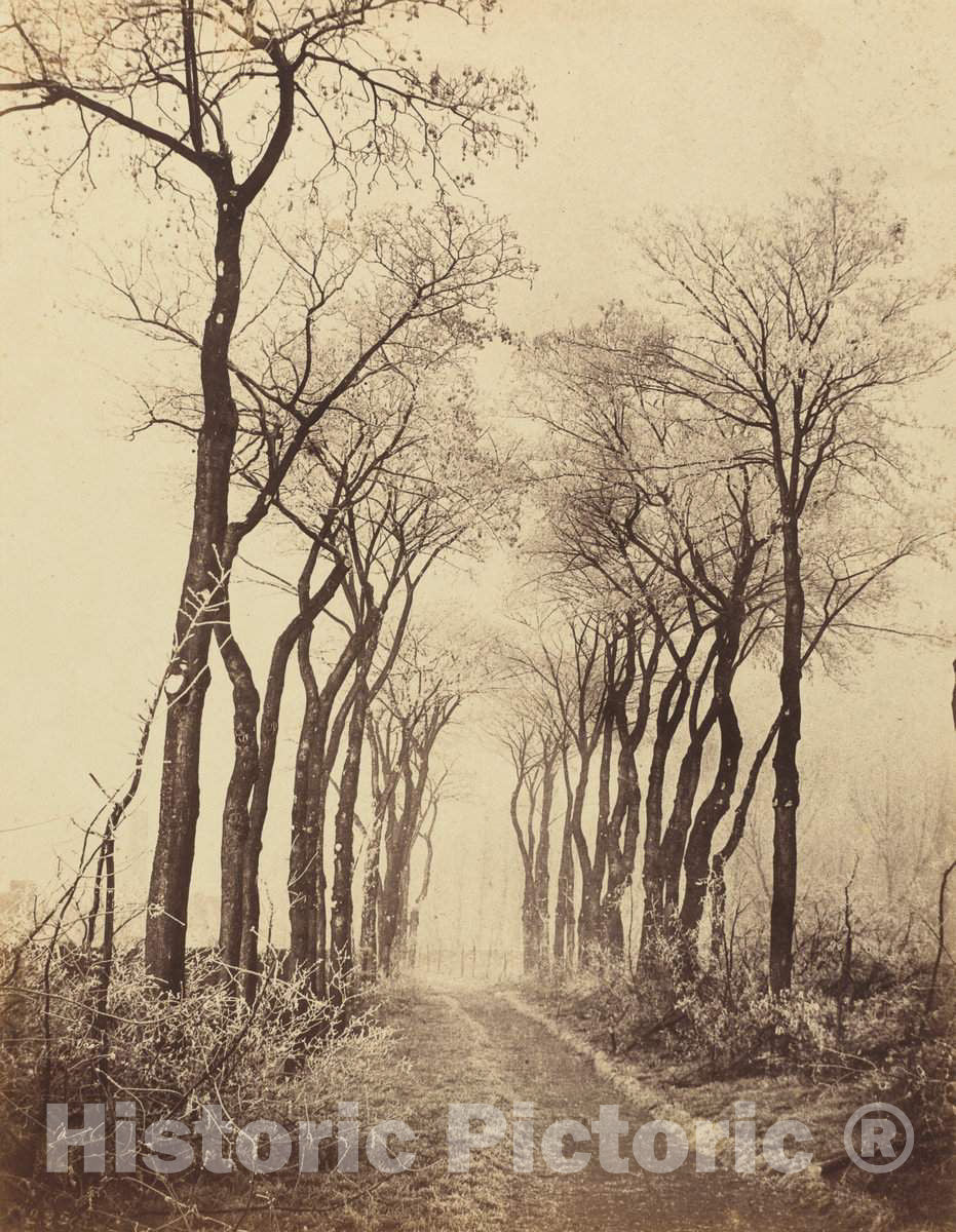 Art Print : EugÃ¨ne Cuvelier, Road and Trees with Hoarfrost, 1860 - Vintage Wall Art