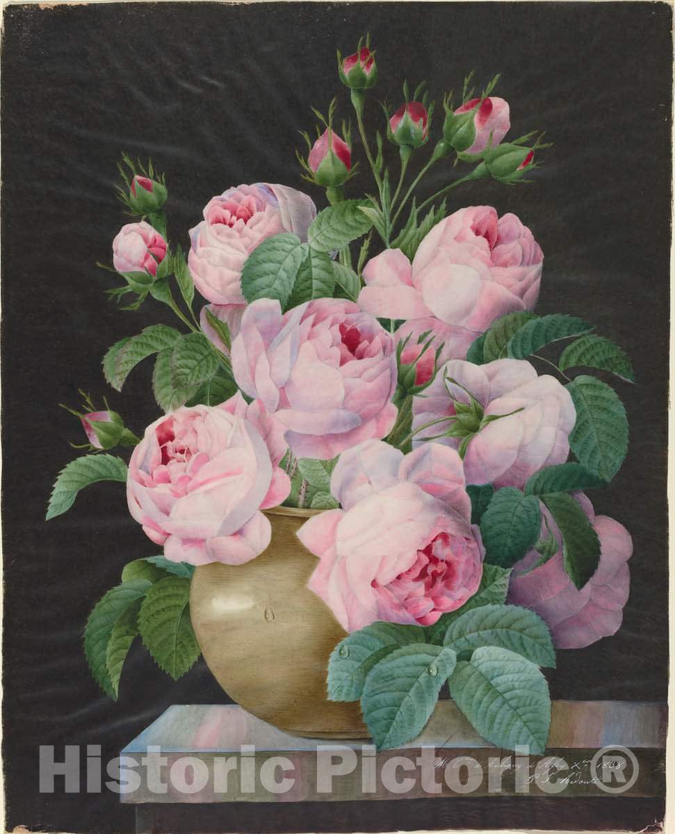 Art Print : Pierre Joseph RedoutÃ©, Pink Roses in a Vase, 1838 - Vintage Wall Art