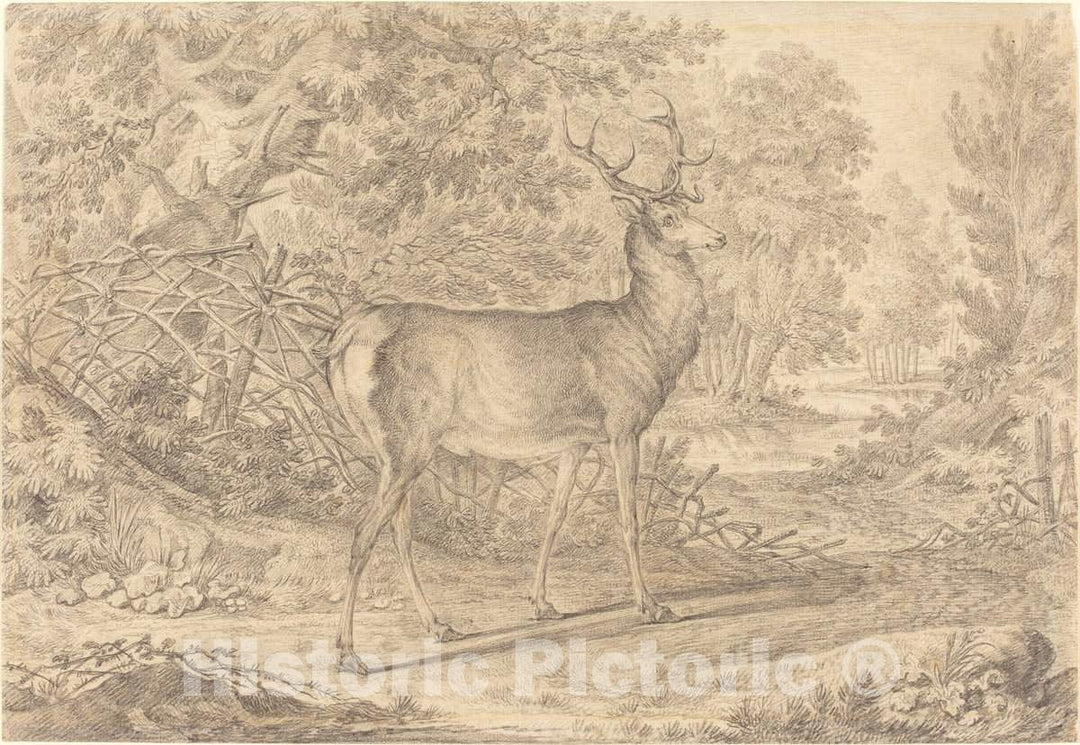 Art Print : Johann Elias Ridinger, A Splendid Young Stag Before a Wattle Fence, 1736 - Vintage Wall Art