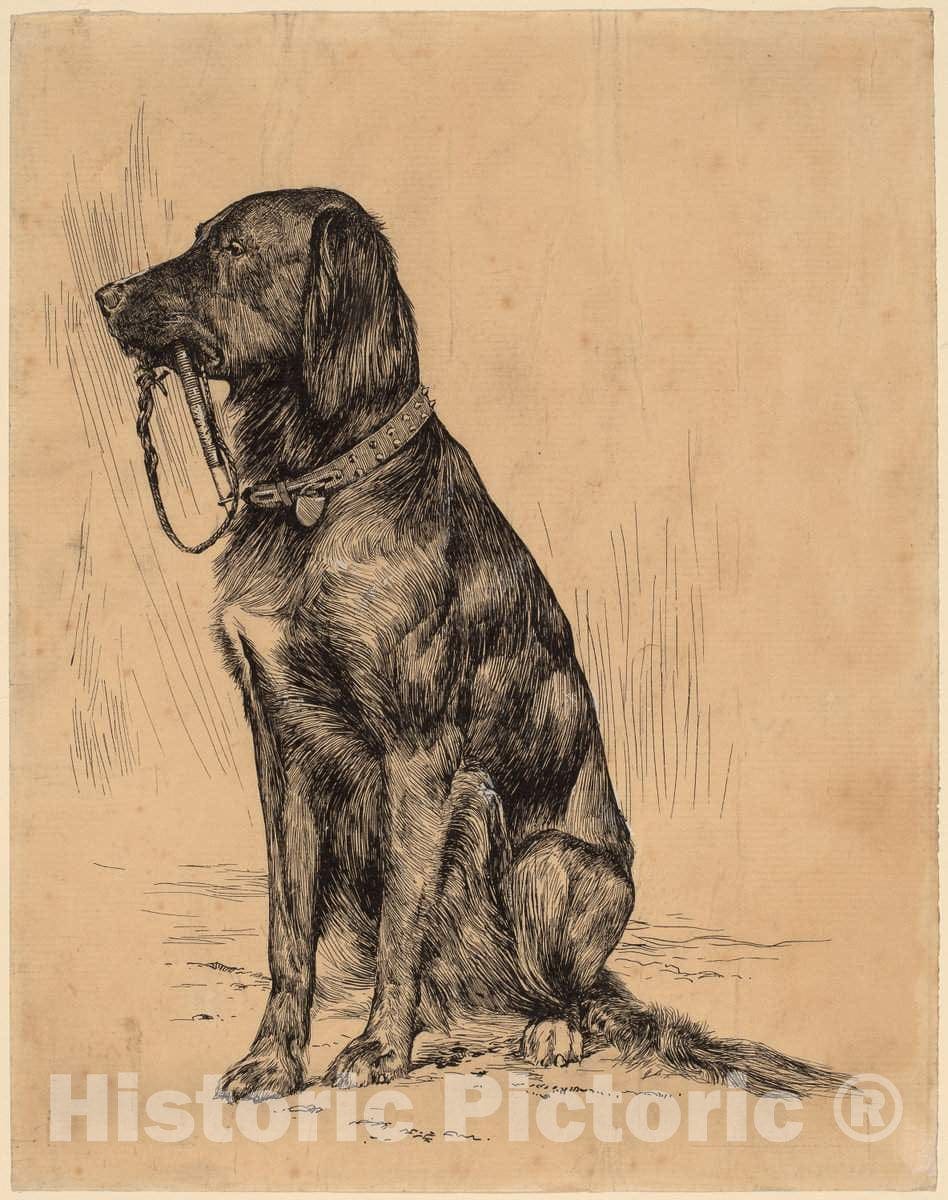 Art Print : Arthur B. Davies, Aldrich's Dog, Late 1880s - Vintage Wall Art