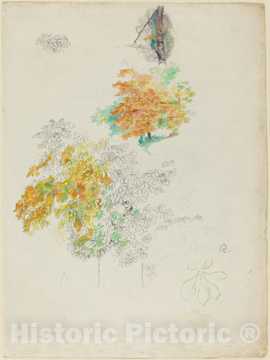 Art Print : Auguste Renoir, Studies of Trees, 1886 - Vintage Wall Art