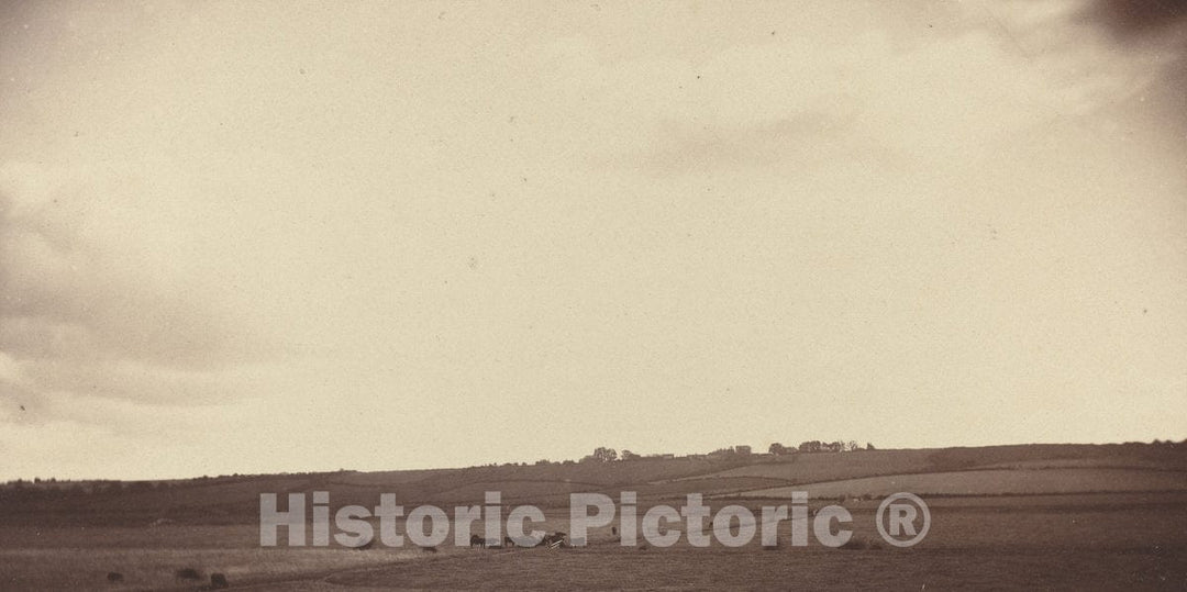 Art Print : View of Fields with Cows, 1850s-1860s - Vintage Wall Art