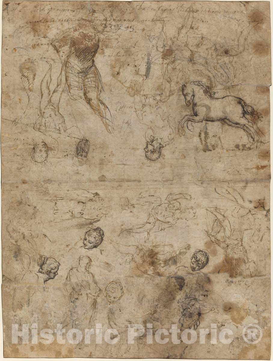 Art Print : Sheet of Studies, Late 16th Century - Vintage Wall Art