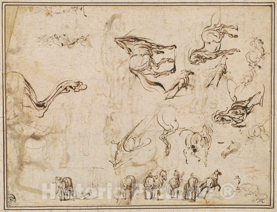 Art Print : Callot After Tempesta, Studies of Horses [Verso], c. 1612 - Vintage Wall Art