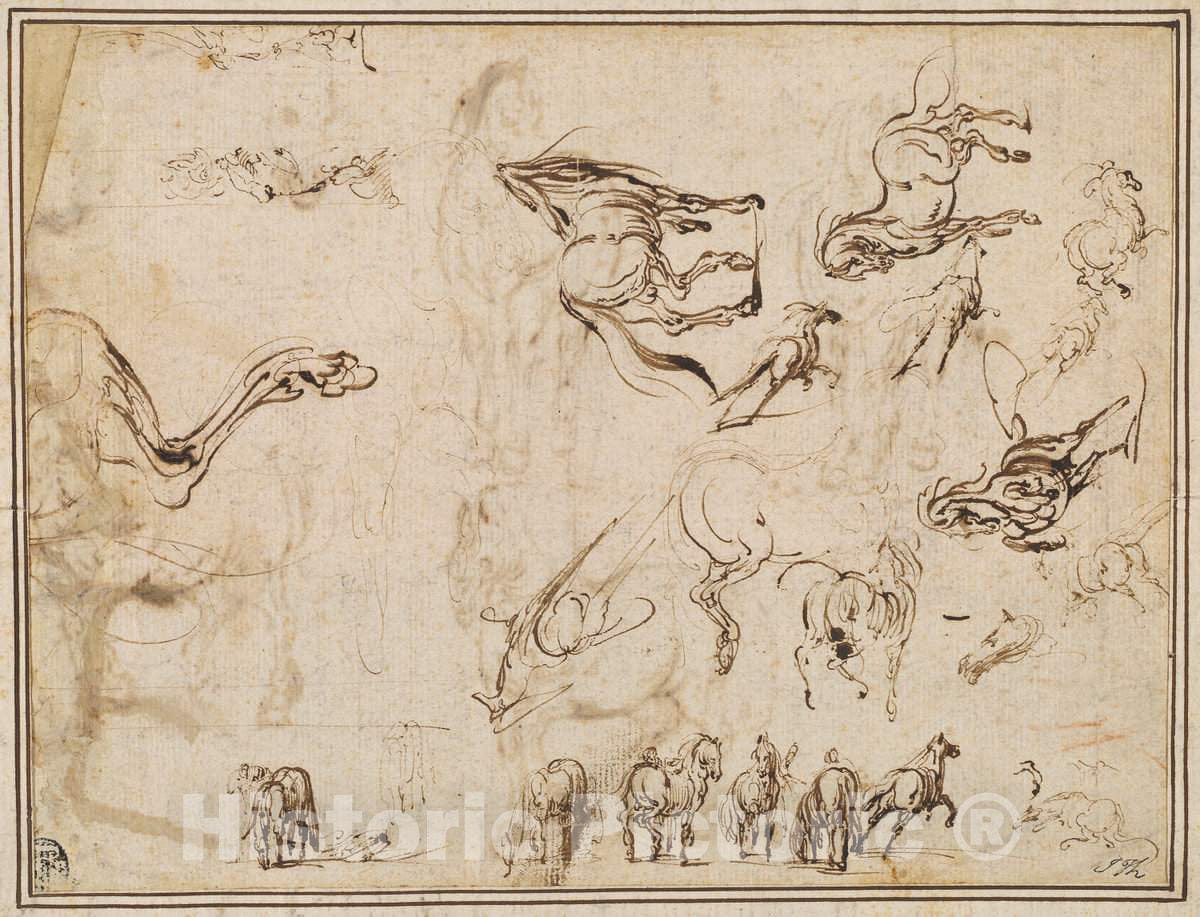 Art Print : Callot After Tempesta, Studies of Horses [Verso], c. 1612 - Vintage Wall Art