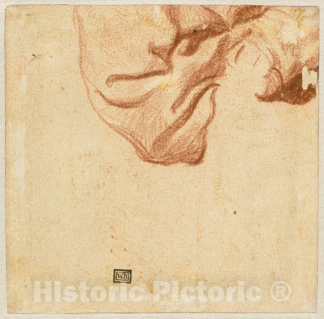 Art Print : Drapery Study (Verso), c. 1631 - Vintage Wall Art