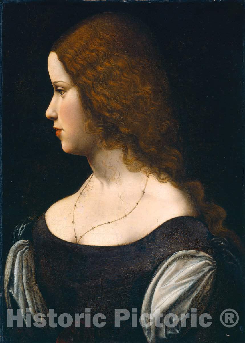 Art Print : Leonardo da Vinci, Portrait of a Young Lady, c. 1500 - Vintage Wall Art