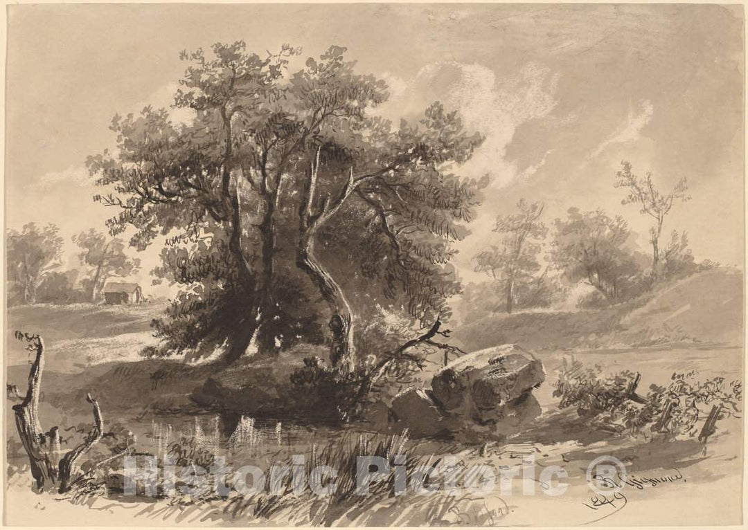 Art Print : RÃ©gis FranÃ§ois Gignoux, The Trees, Bedford, New York, 1849 - Vintage Wall Art