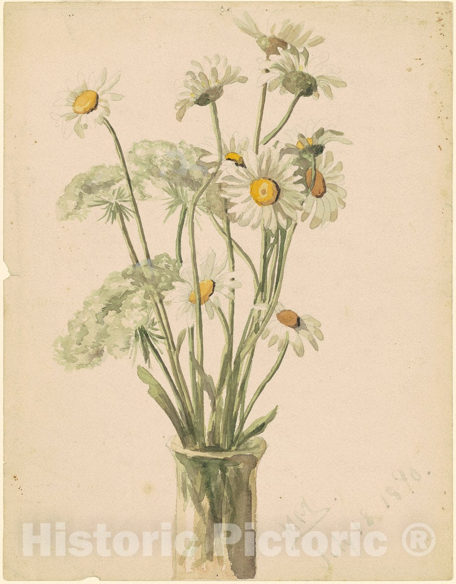 Art Print : Marietta Minnigerode Andrews, Daisies and Queen Ann's Lace, 1890 - Vintage Wall Art