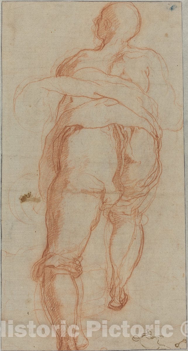 Art Print : Taddeo Zuccaro, A Man Seen from Behind [Verso], c. 1555 - Vintage Wall Art