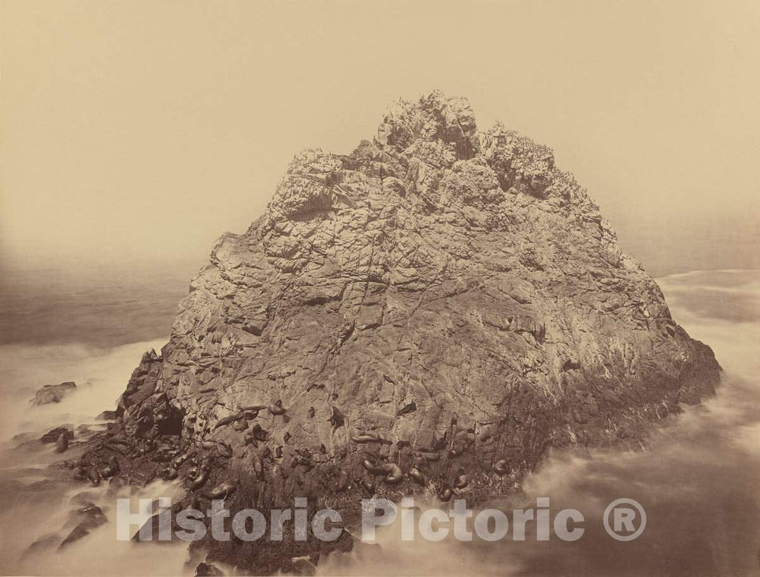 Art Print : Carleton E. Watkins, Sugar Loaf Island, Farallons, c.1869 - Vintage Wall Art