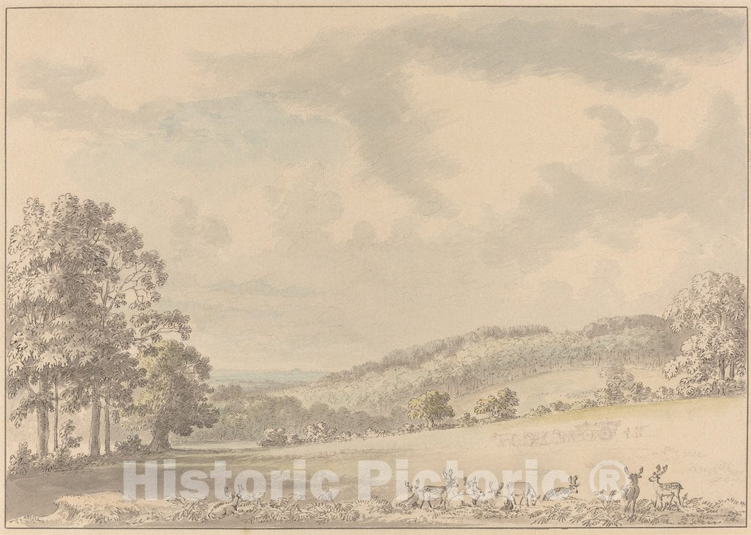 Art Print : Anthony Devis, Deer Resting in Albury Park, After 1780 - Vintage Wall Art